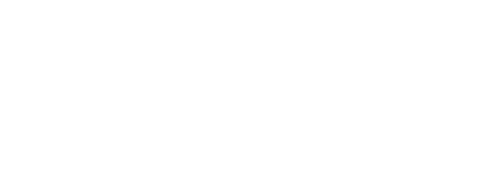FireDat Logo
